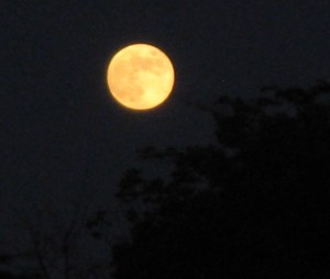 July 2011 Full Moon