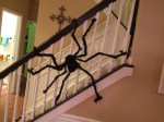 Big Fuzzy Stair&nbsp;Spider